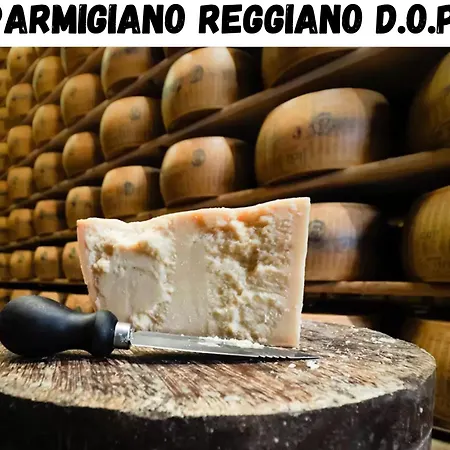 ベッド・アンド・ブレックファスト La Fontana Spilamberto